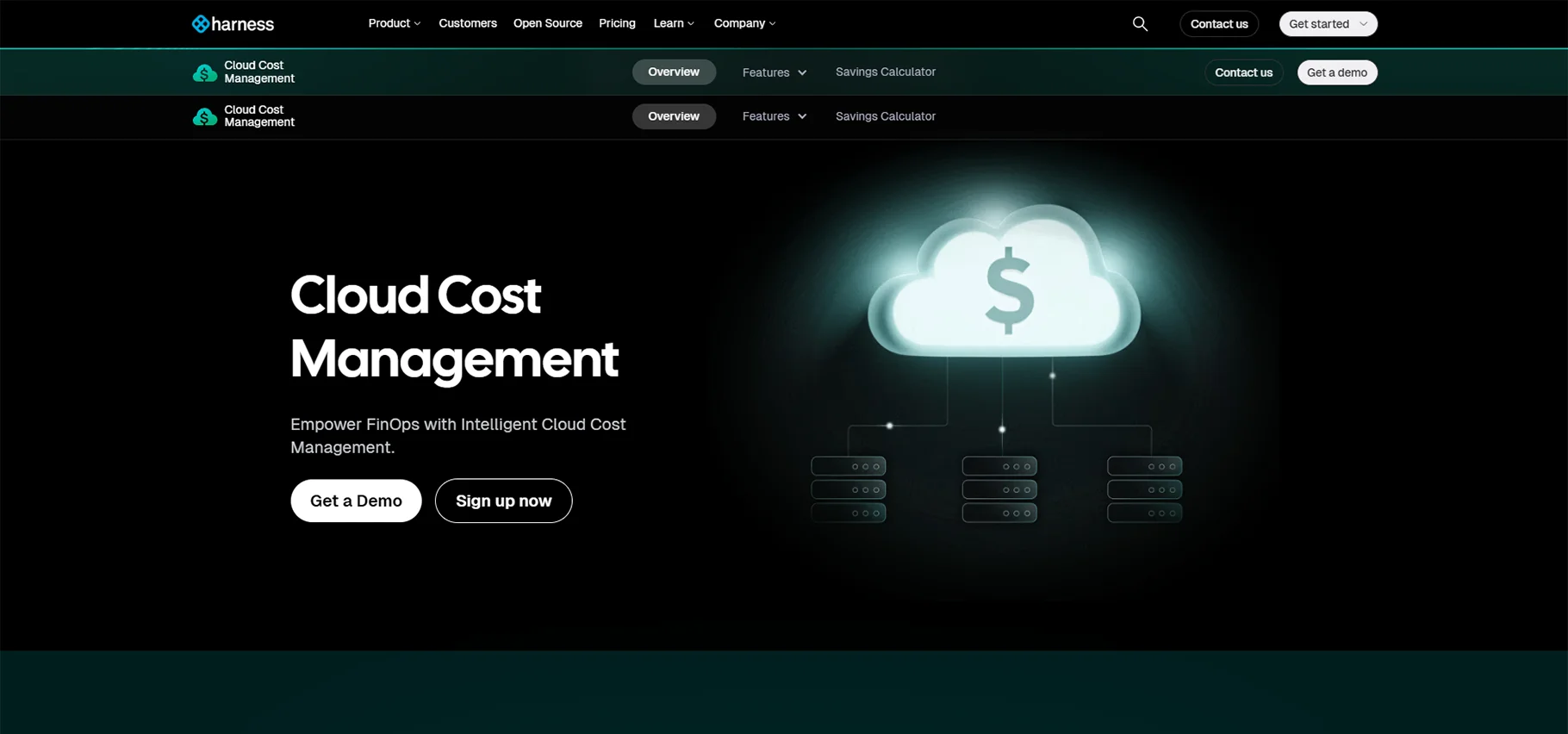Harness Cloud Cost Management.webp