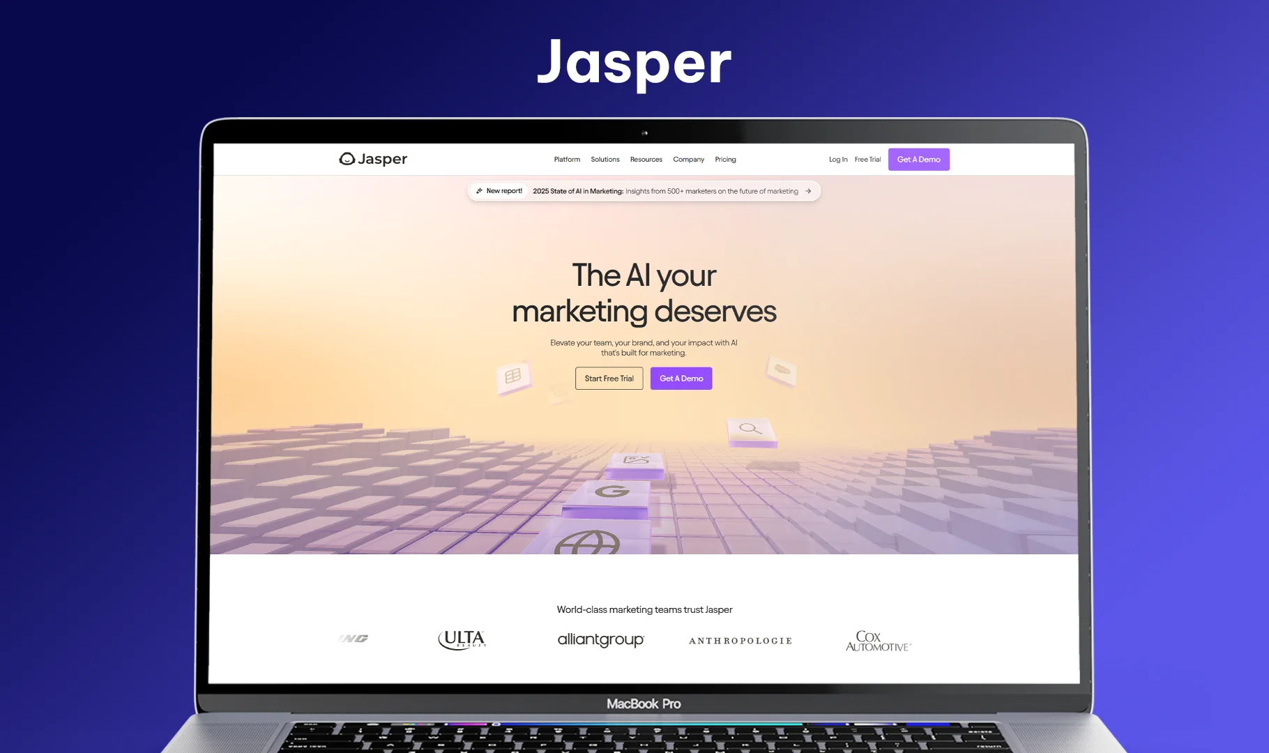 Jasper.webp