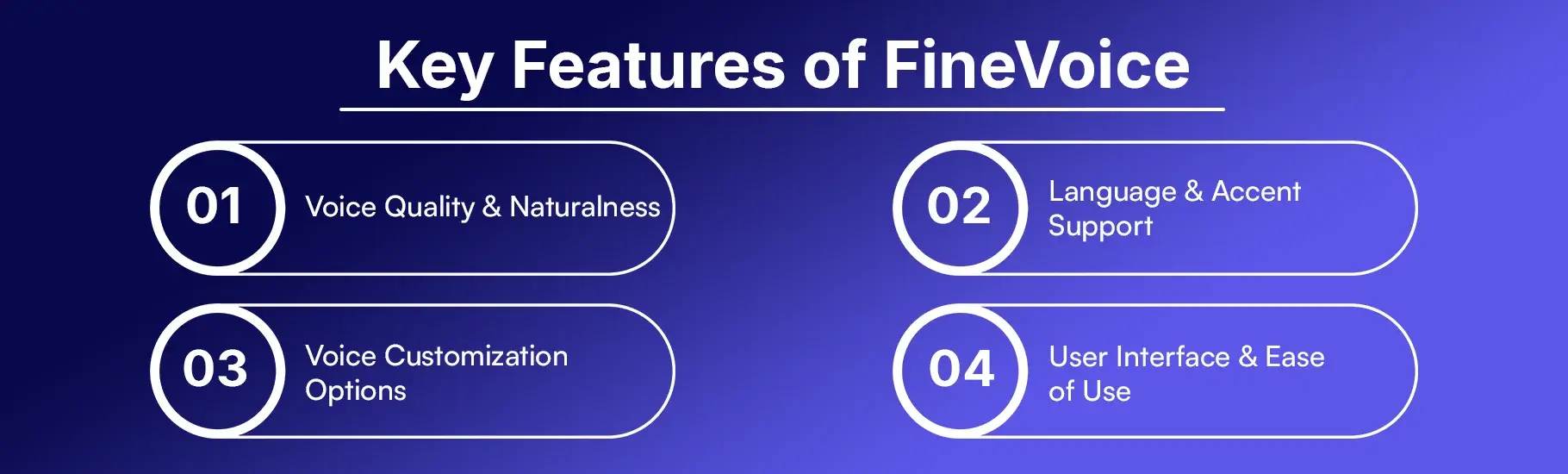 Key Features of FineVoice
