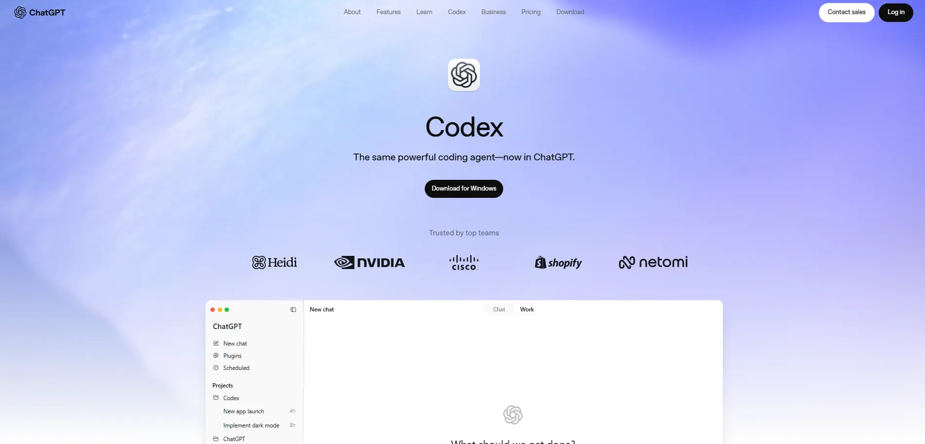 OpenAI Codex