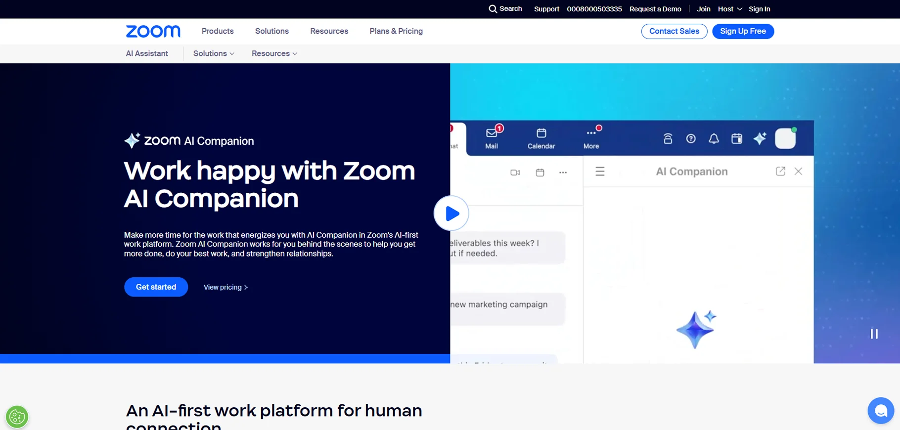 Zoom Companion.webp