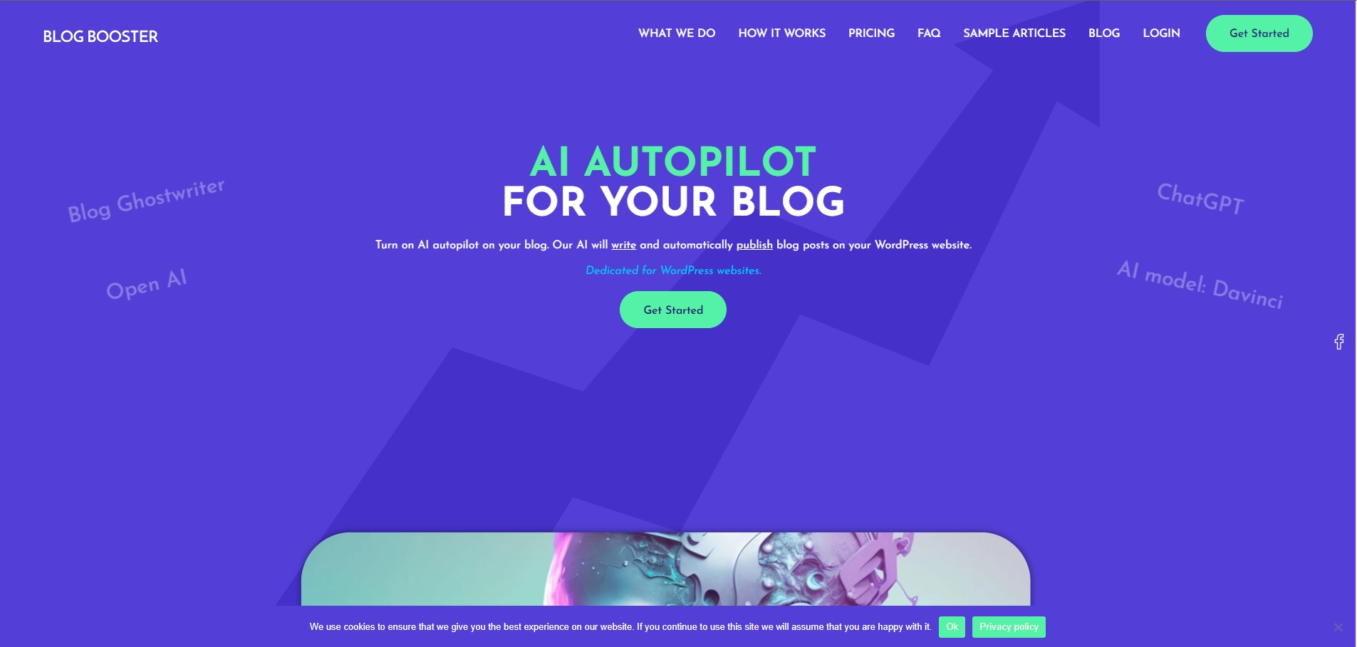 Blog Booster