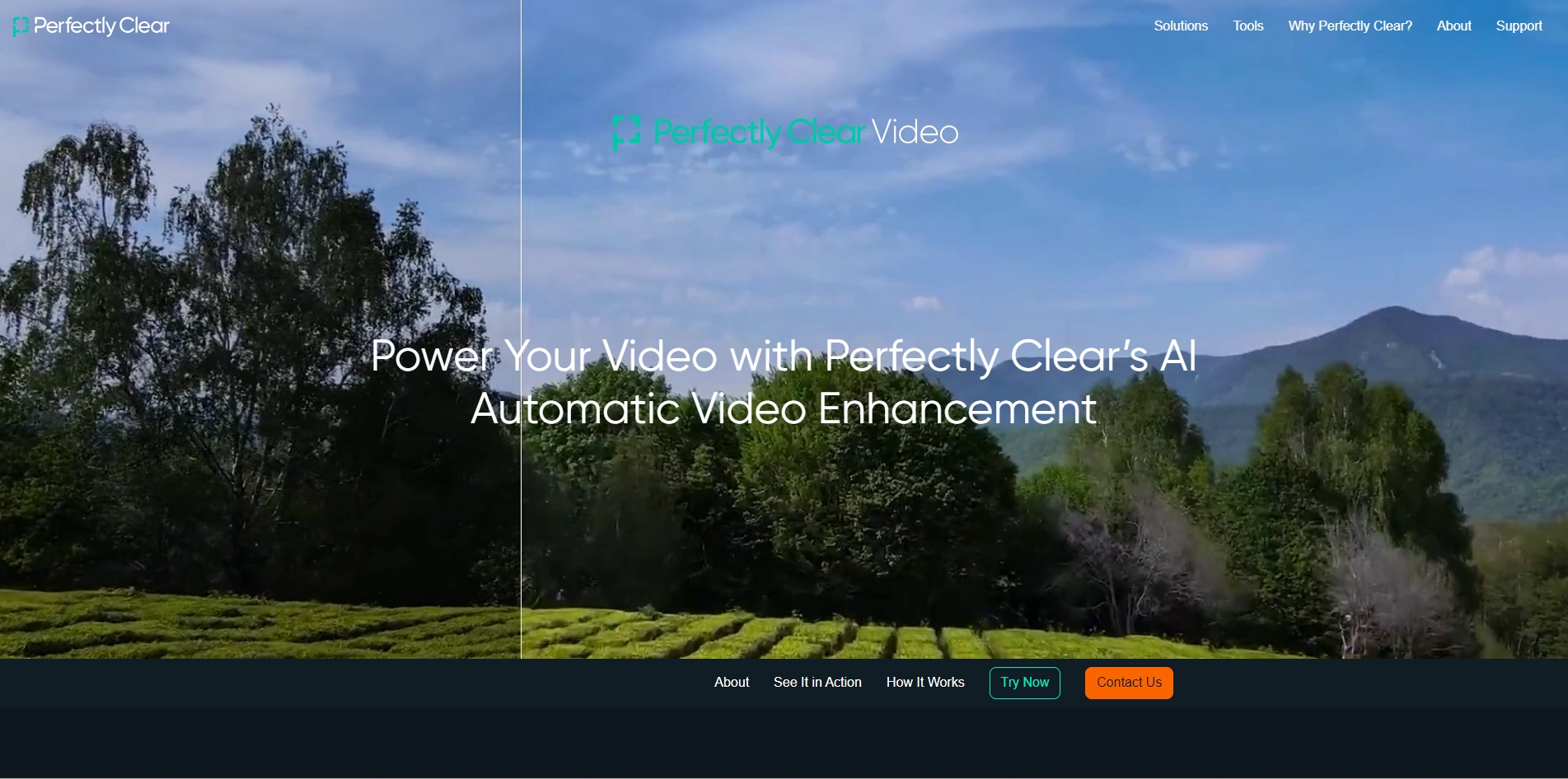 Perfectly Clear Video