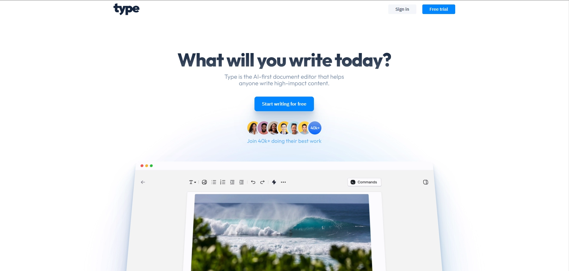 Type AI