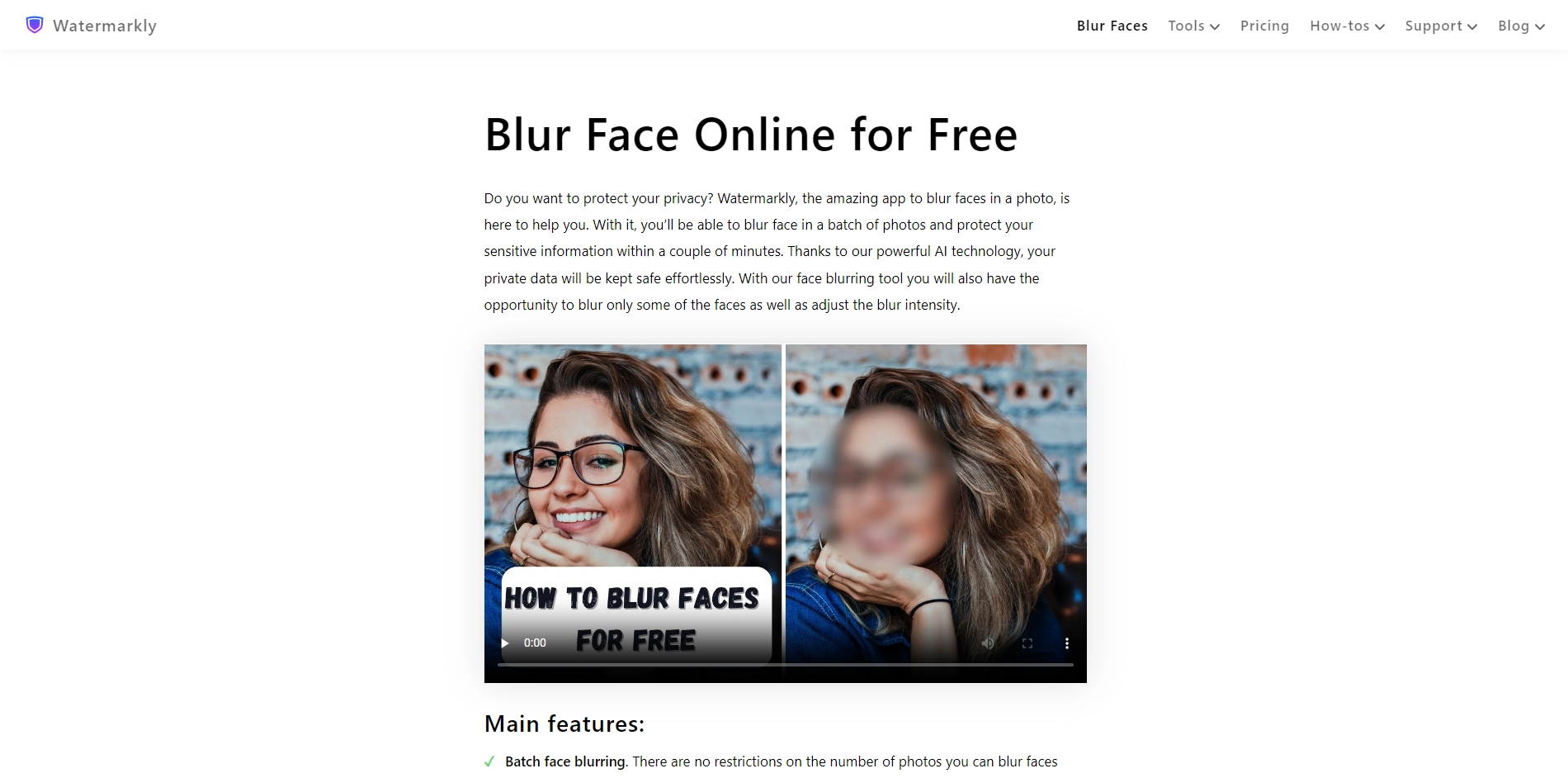 Watermarkly - Blur Faces & License Plates